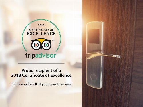 Minerva Downtown Hostel image 2